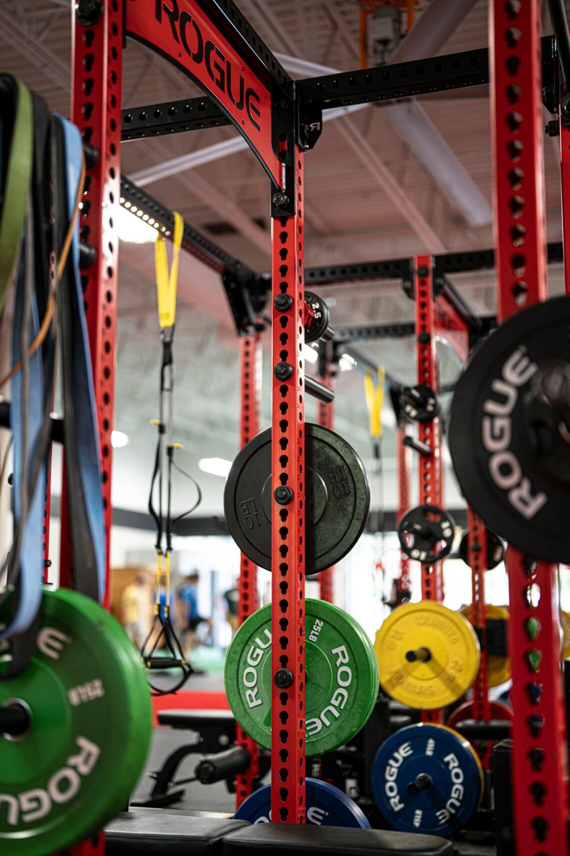building gym discipline