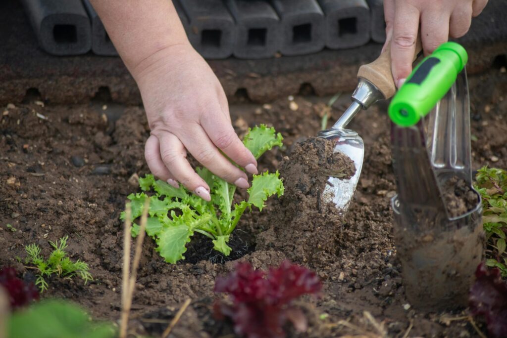 Composting, zero-waste lifestyle, reduce waste tips, zero-waste living