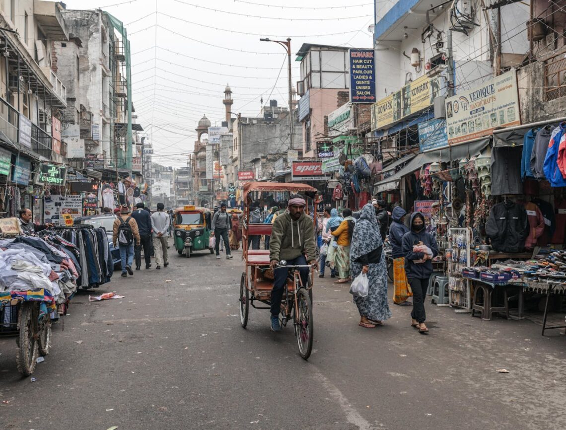 Delhi auto rickshaw adventure, dilli, india