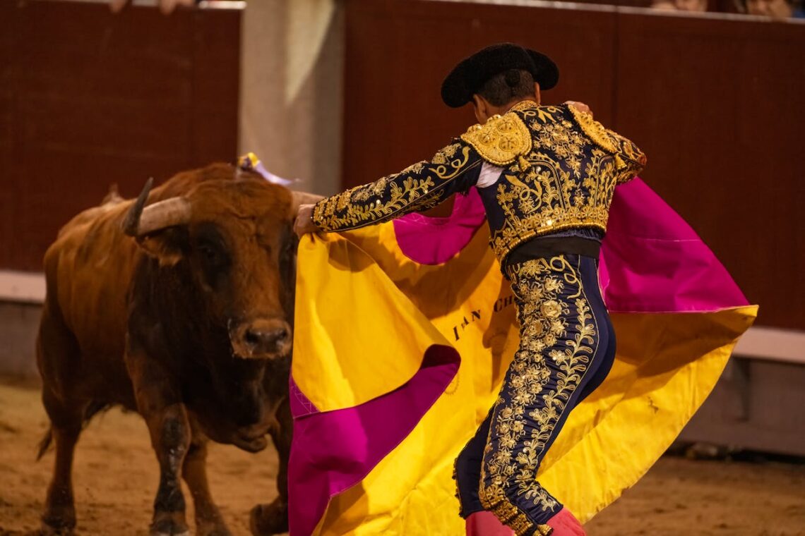 jallikattu, animal rights in India, bull-taming, Tamil Nadu traditions