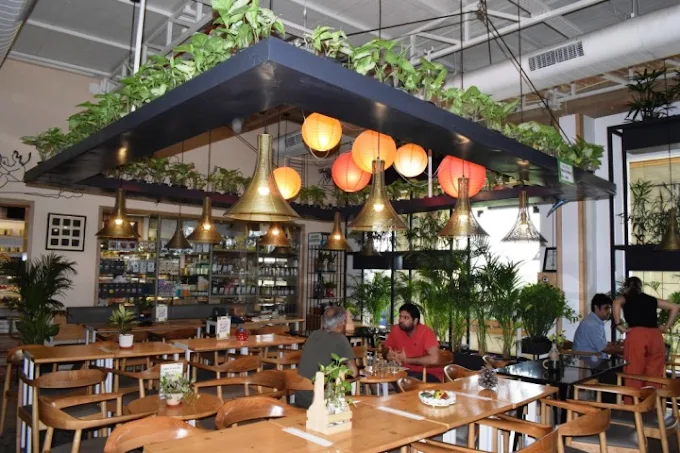 Alma Bakery & Café Noida: A Cozy Hideaway for Food and Coffee Lovers